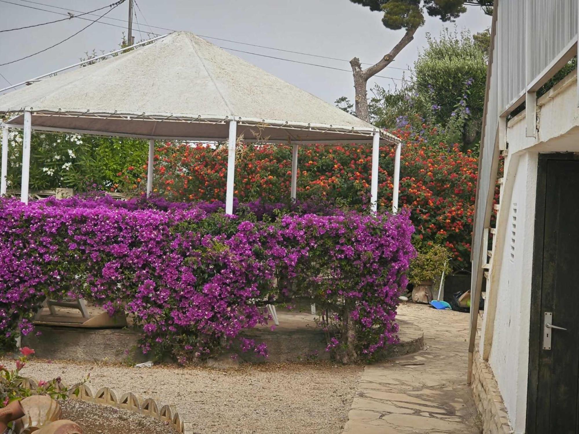 Casa Geminis Vinaros Apartamento Exterior foto
